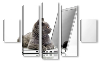 Модульная картина Животные мир 49598