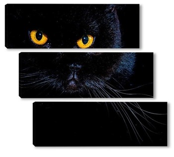 Модульная картина Черный кот