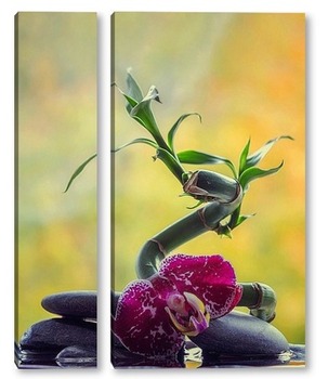Модульная картина Бамбук и орхидея