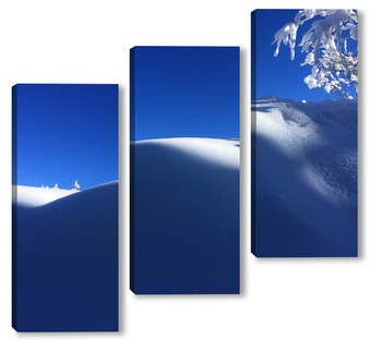  Снежна природа 2 / Snowy nature 2