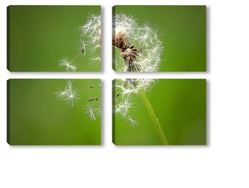 Модульная картина Одуванчик с разлетающимеся на ветру семенами