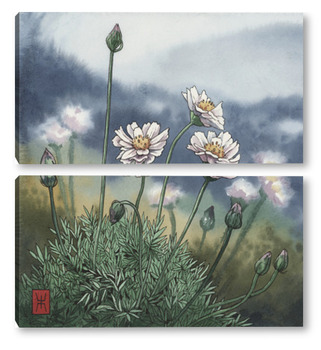  Акварель "Рогоз"