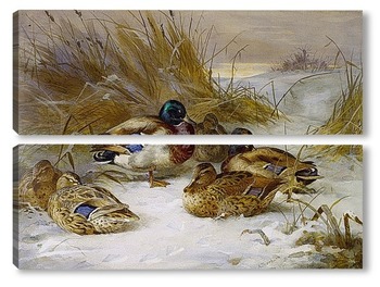 Модульная картина Зимний пейзаж с утками