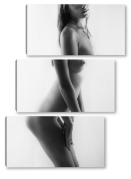 Модульная картина Красота женского тела .