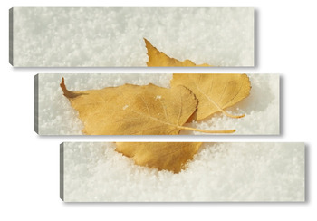 Модульная картина Берёзовые листья на снегу