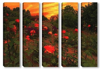 Модульная картина  Розы на закате