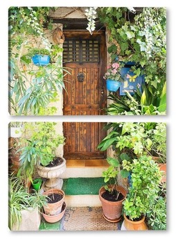 Модульная картина Дверь, окруженная цветами