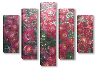 Модульная картина Хризантемы зацвели