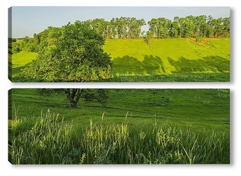 Модульная картина Последний свет дня