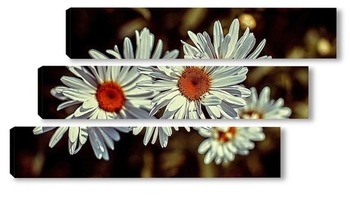 Модульная картина Daisies