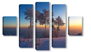 Модульная картина Заснеженные деревья на восходе солнца