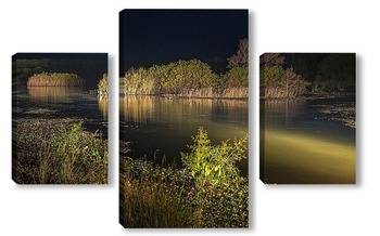 Модульная картина Заросшие густой растительностью островки на ночном озере освещённом светом фар 