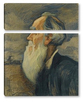 Модульная картина Портрет Льва Толстого