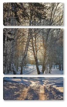 Модульная картина Зимний лес яркм,солнечным утром.