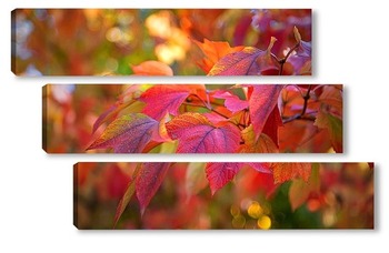 Модульная картина Яркие , осенние листья клёна