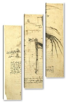  Leonardo da Vinci-24