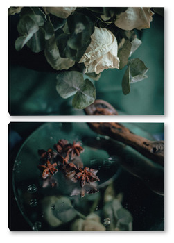 Модульная картина розы