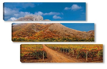 Модульная картина Там,где зреет виноград