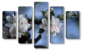 Модульная картина Когда яблони цветут