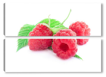  Gooseberries on a white background