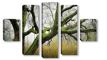 Модульная картина туманный лес