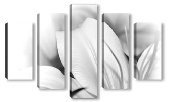 Модульная картина Белая лилия.