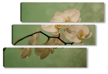 Модульная картина Веточка орхидеи