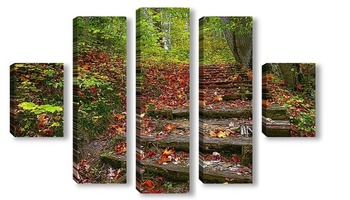  Осенний лес