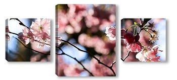 Модульная картина Праздник цветения сакуры