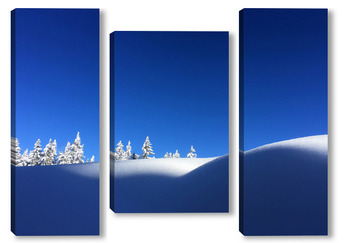  Снежна природа 2 / Snowy nature 2