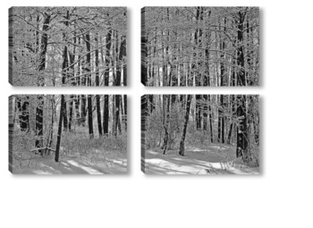 Модульная картина Ольховый зимний лес