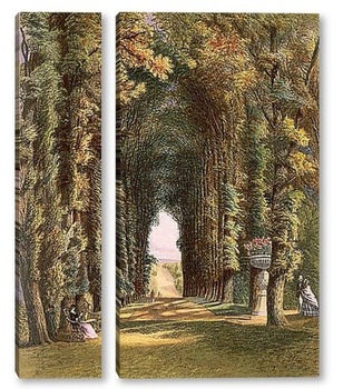  Путь леса, 1937