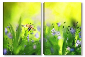  The wasp is sitting on green leaves. The dangerous yellow-and-black striped common Wasp sits on leaves	