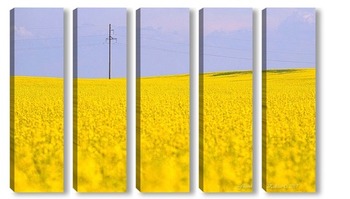 Модульная картина Белорусское поле