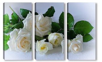 Модульная картина Про белые розы