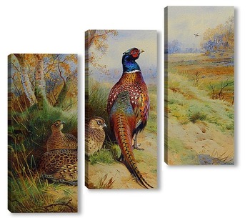 Модульная картина Петух и курица фазана на краю леса