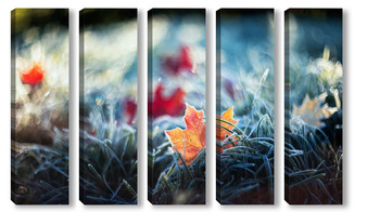 Модульная картина Кленовые листья в траве с инеем