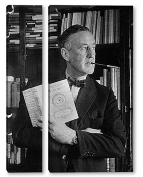 Модульная картина Ian Fleming