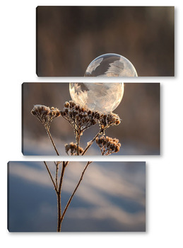 Модульная картина Замёрзший мыльный пузырь на растении