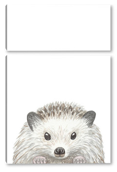  Енотик, серия "Лесные животные"