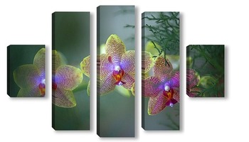 Модульная картина орхидеи  