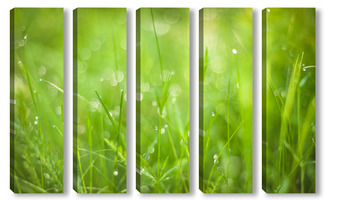 Модульная картина Зеленая трава на луговом поле