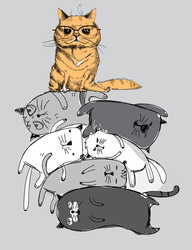    Забавные коты