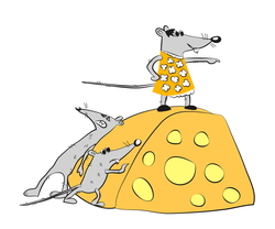    Мыши с сыром