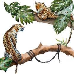    Леопарды на дереве