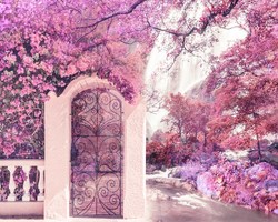    Экзотический сад