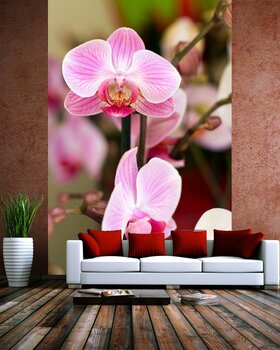 Фотообои Orchid-05011001